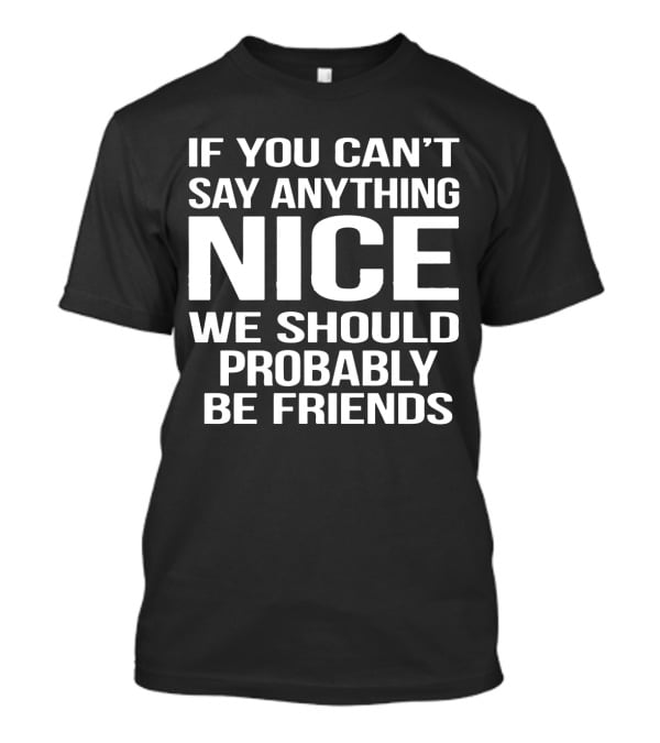 If You Can't Say Anything Nice We Should Probably Be Friends T-Shirt