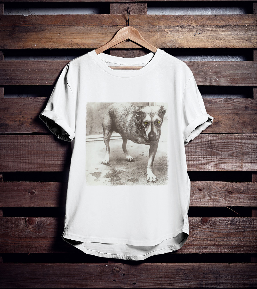 Dog With Yellow Eyes Aic T-Shirt