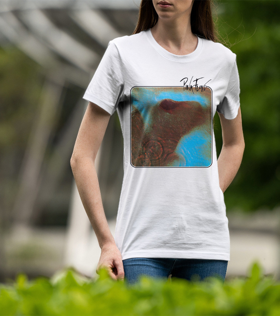 Pink Floyd Meddle Album Art T-Shirt