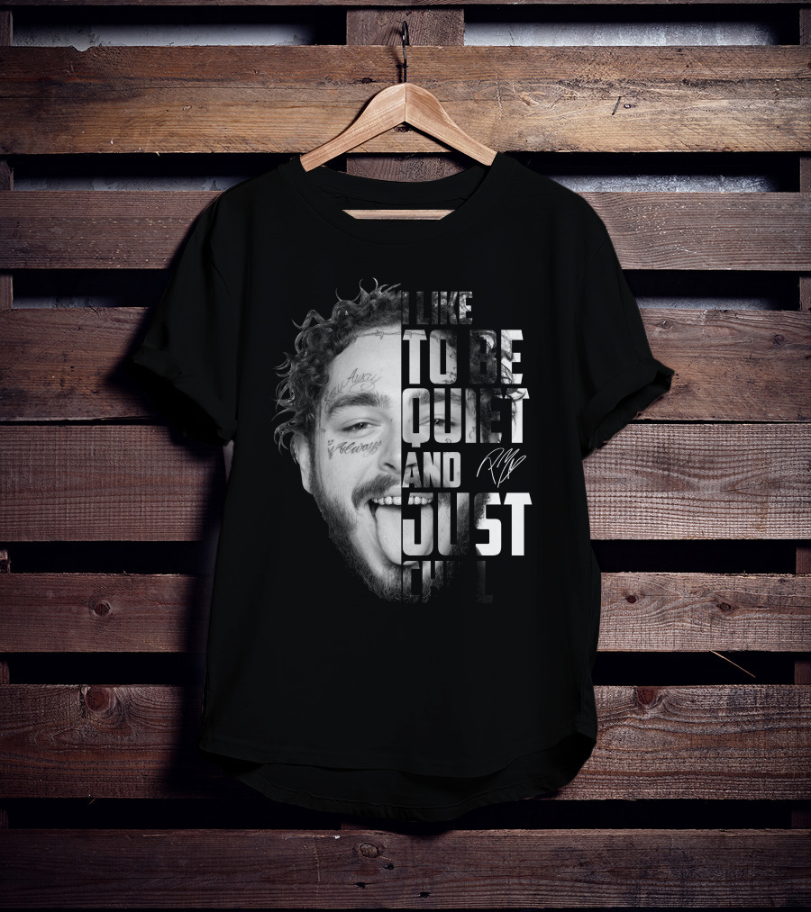 I Like To Be Quiet And Just Chill T-Shirt