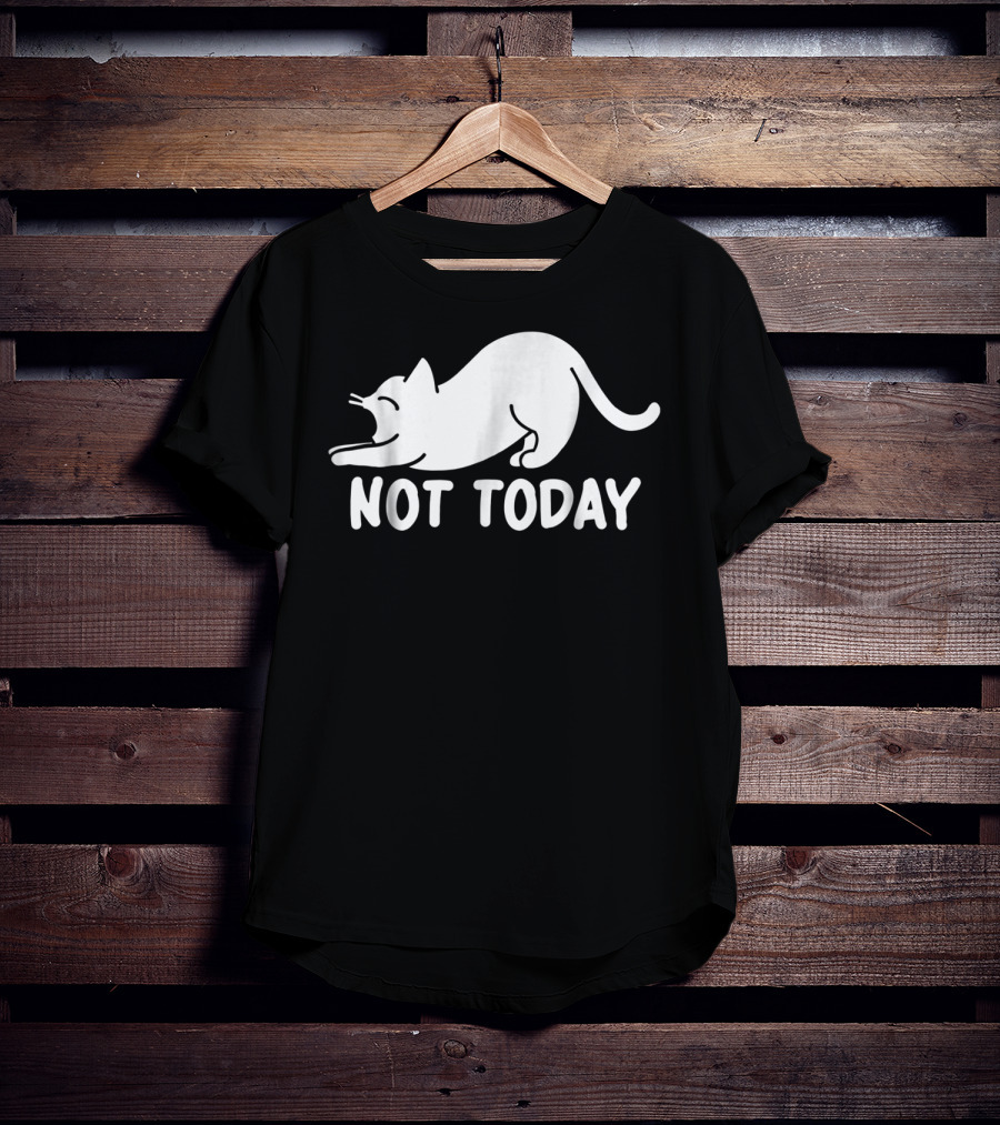 Lazy Cat Not Today Cat Lovers Cat Lady Cat T-Shirt