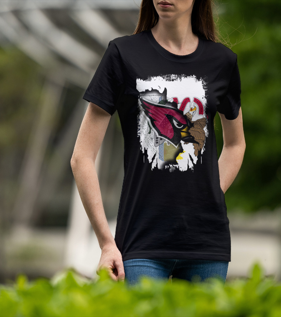 Illinois Pride With Fierce Cardinals Unity T-Shirt