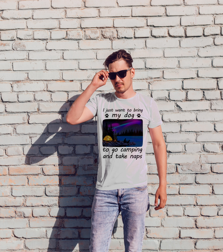 I Just Want To Bring My Dog To Go Camping And Take Naps With Aurora Borealis And Tent By Lake T-Shirt