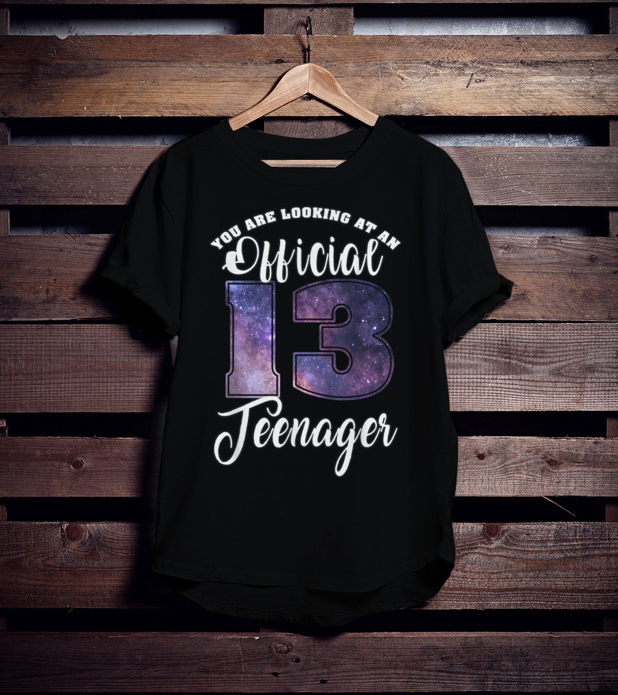 You Are Looking At An Official 13 Teenager T-Shirt