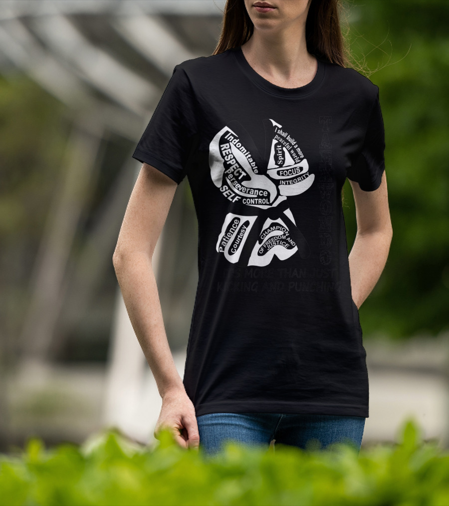 Taekwondo More Than Just Kicking And Punching Respect Perseverance Self-Control Integrity T-Shirt
