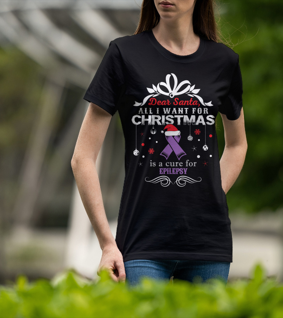 Dear Santa All I Want For Christmas Is A Cure For Epilepsy T-Shirt