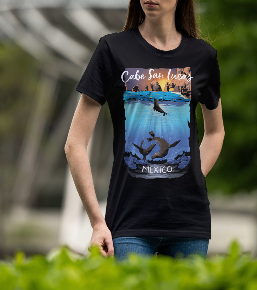 Cabo San Lucas Mexico Seals Ocean Rocks T-Shirt