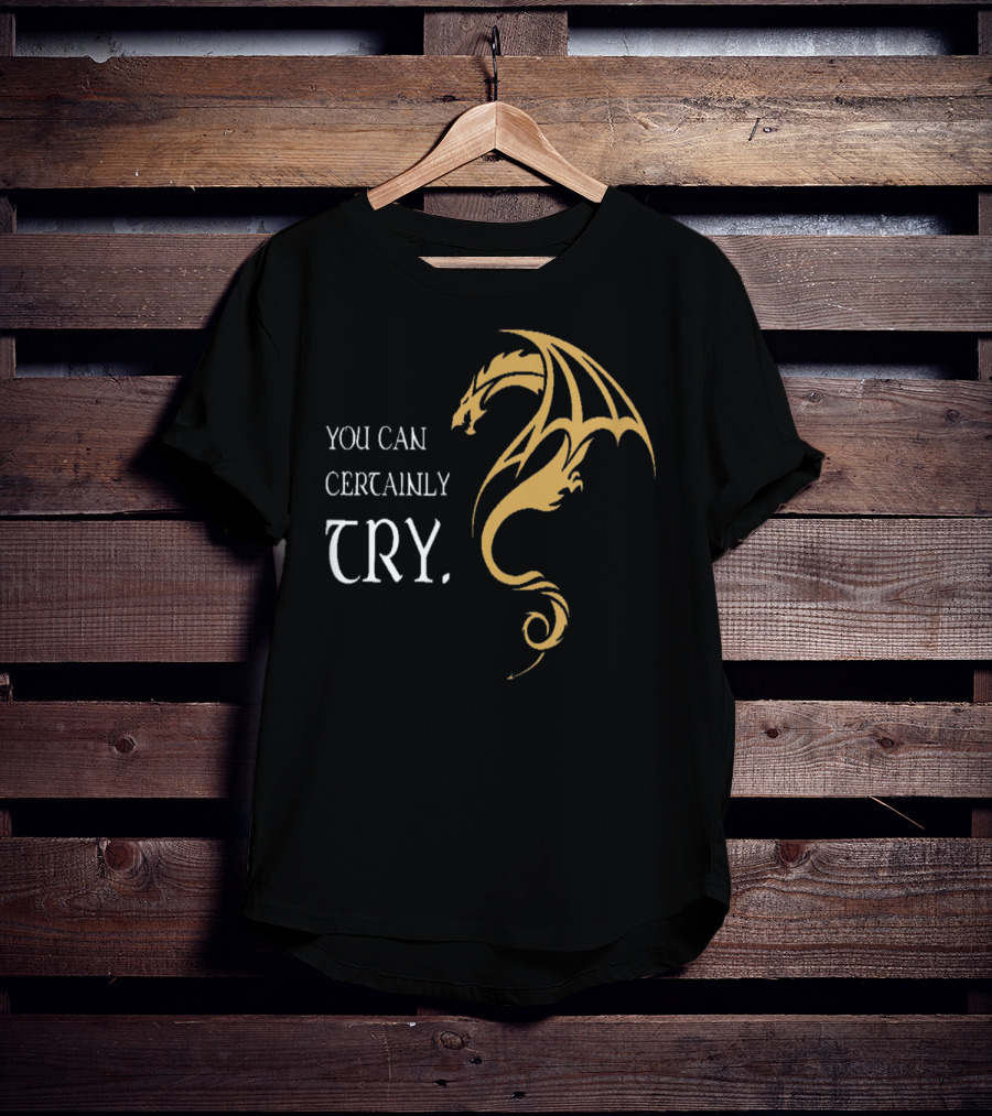 You Can Certainly Try Dragon Fire Dungeons Fantasy T-Shirt