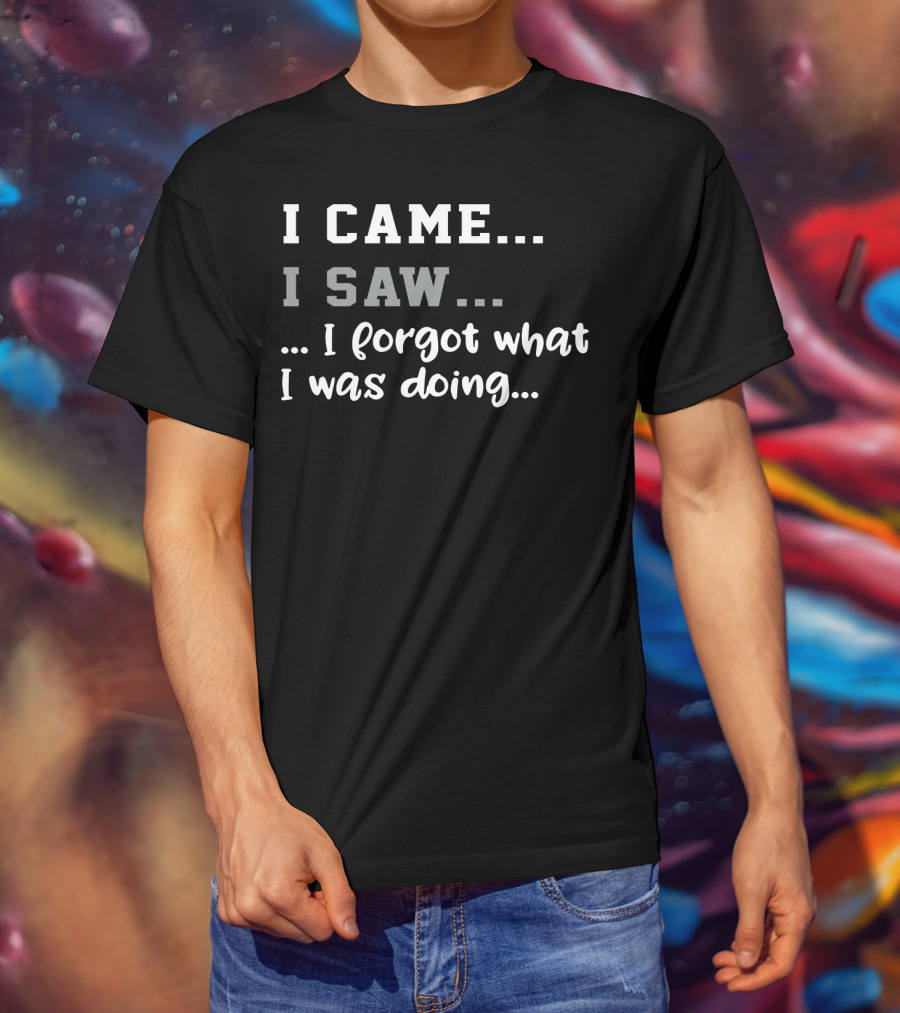 I Came I Saw I Forgot What I Was Doing T-Shirt