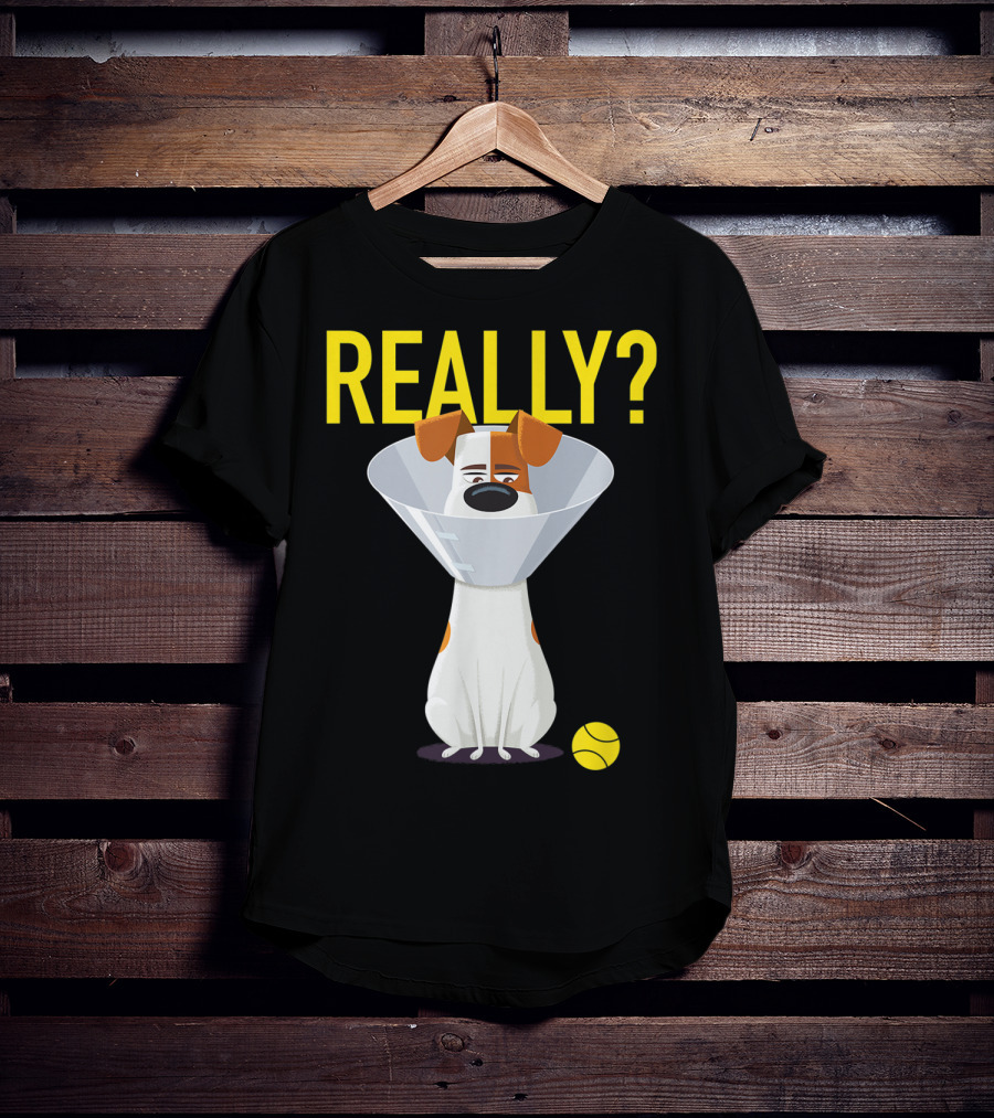 The Secret Life Of Pets 2 Max Really? Ball Cone Collar T-Shirt