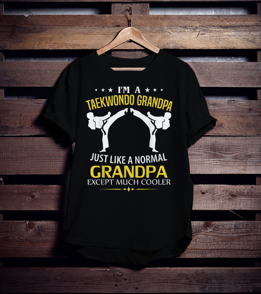 I'm A Taekwondo Grandpa Just Like A Normal Grandpa Except Much Cooler T-Shirt