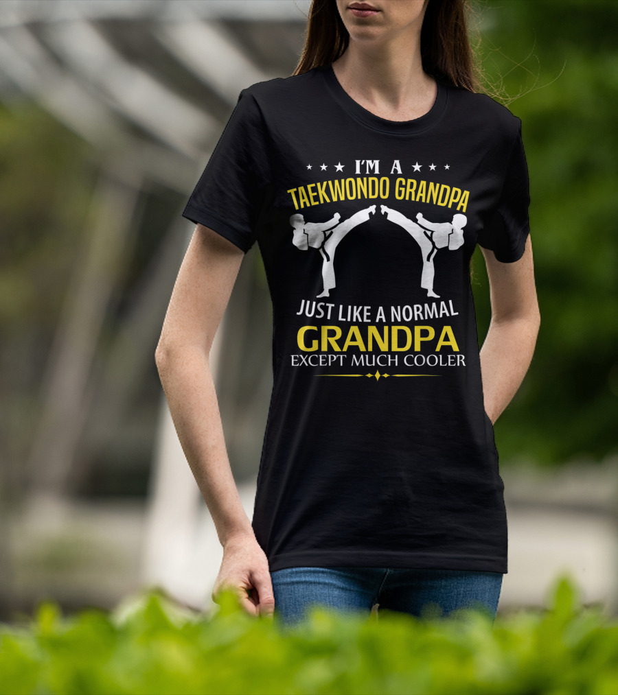 I'm A Taekwondo Grandpa Just Like A Normal Grandpa Except Much Cooler T-Shirt