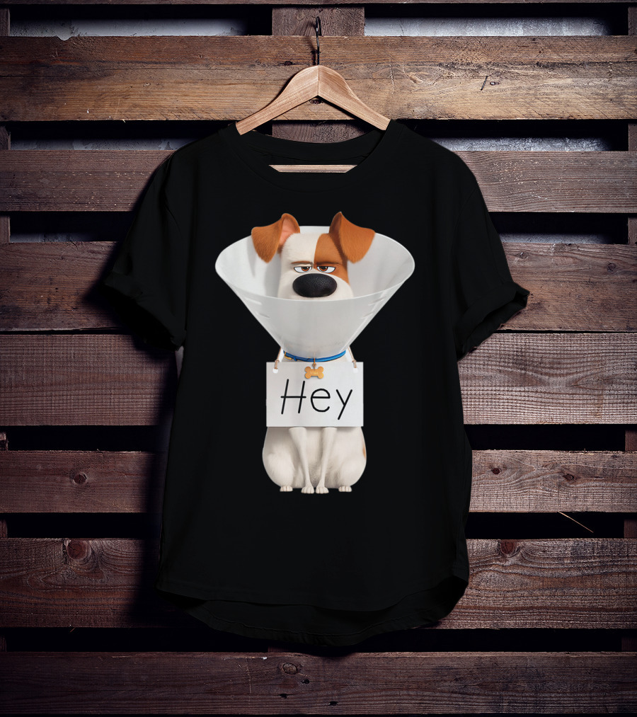 Hey Max Dog Cone Humor T-Shirt