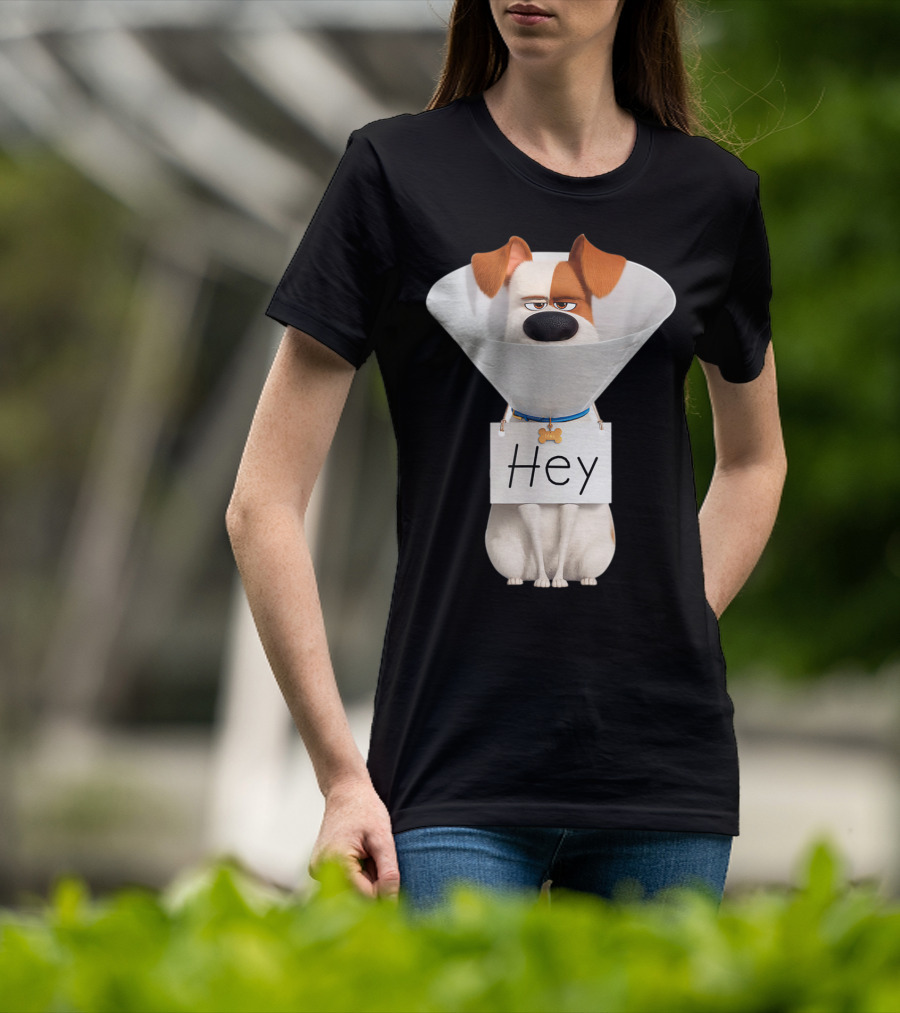 Hey Max Dog Cone Humor T-Shirt