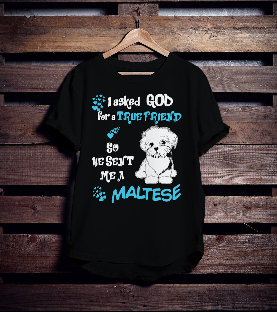 God Sent Me A True Friend Maltese Dog So He Sent Me A Maltese T-Shirt