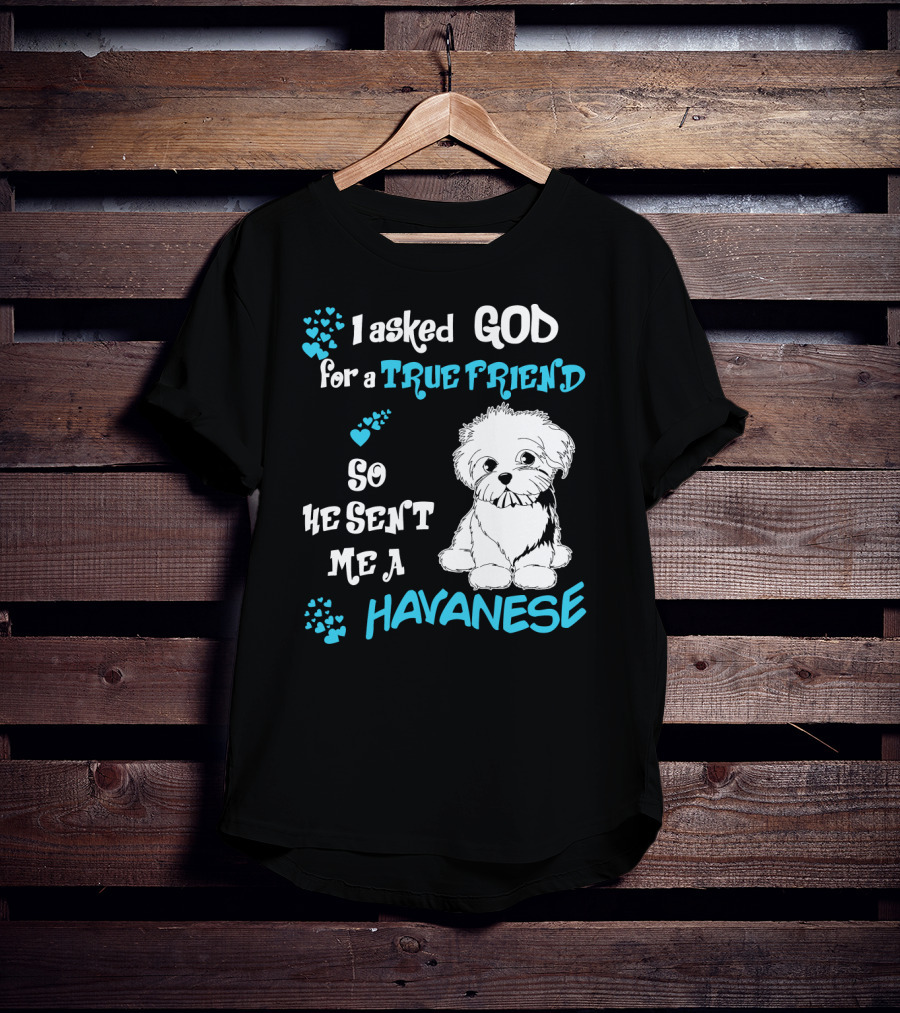 I Asked God For A True Friend So He Sent Me A Havanese T-Shirt