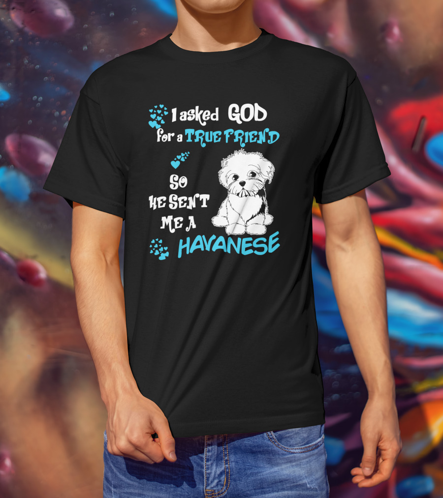 I Asked God For A True Friend So He Sent Me A Havanese T-Shirt
