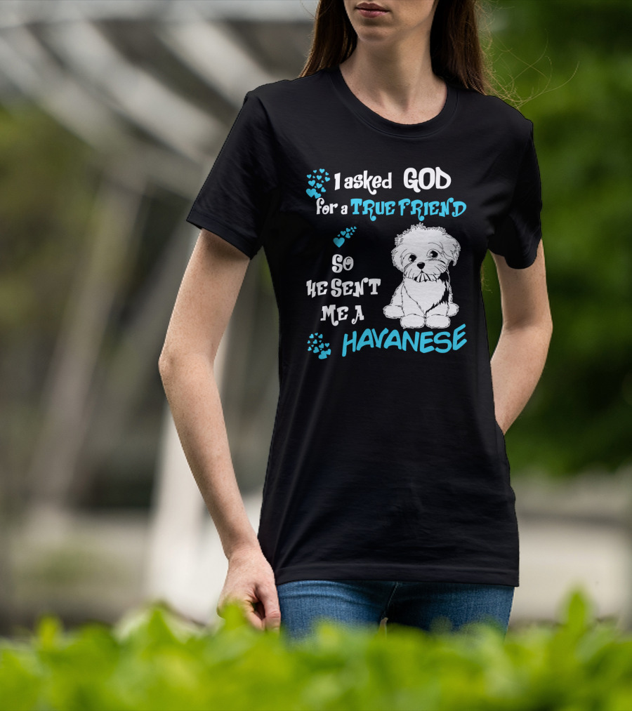 I Asked God For A True Friend So He Sent Me A Havanese T-Shirt