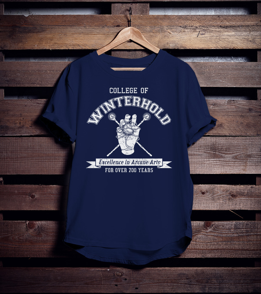 College Of Winterhold Excellence IN Arcane Arts For Over 700 Years T-Shirt