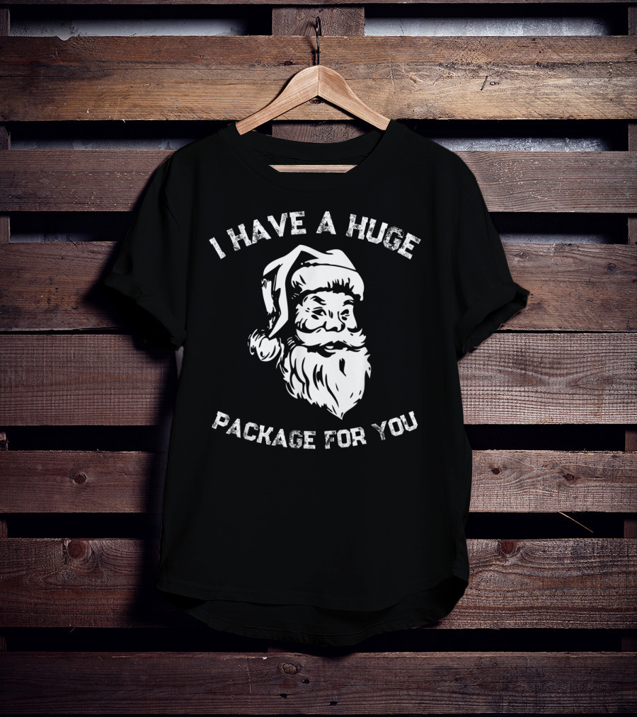 I Have A Huge Package For You Santa T-Shirt