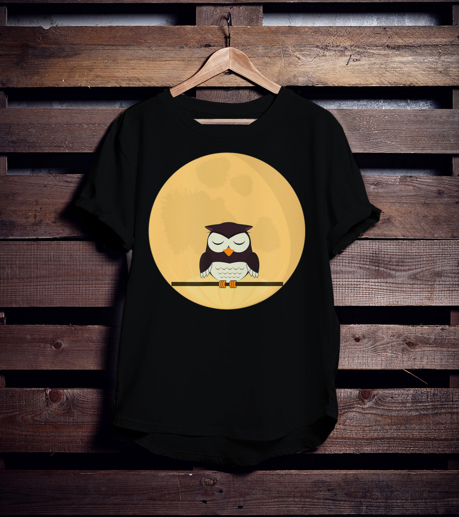 An Owl And The Full Moon Night Sky T-Shirt