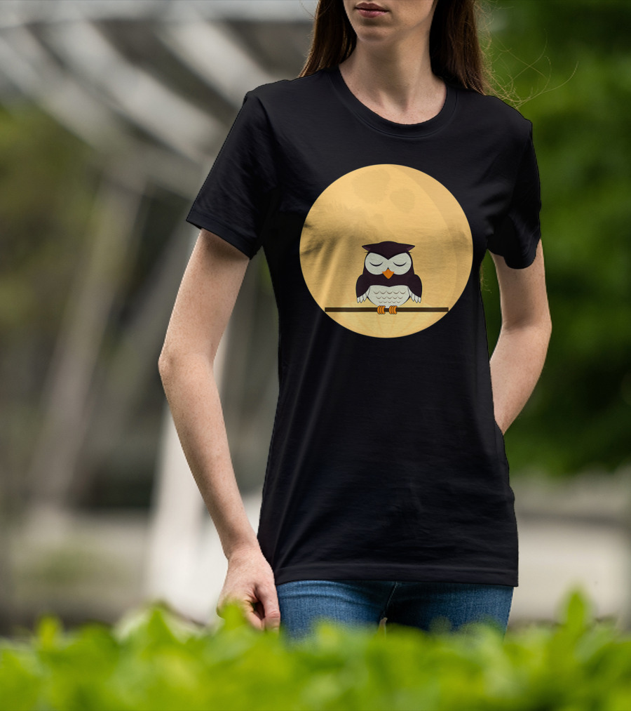 An Owl And The Full Moon Night Sky T-Shirt