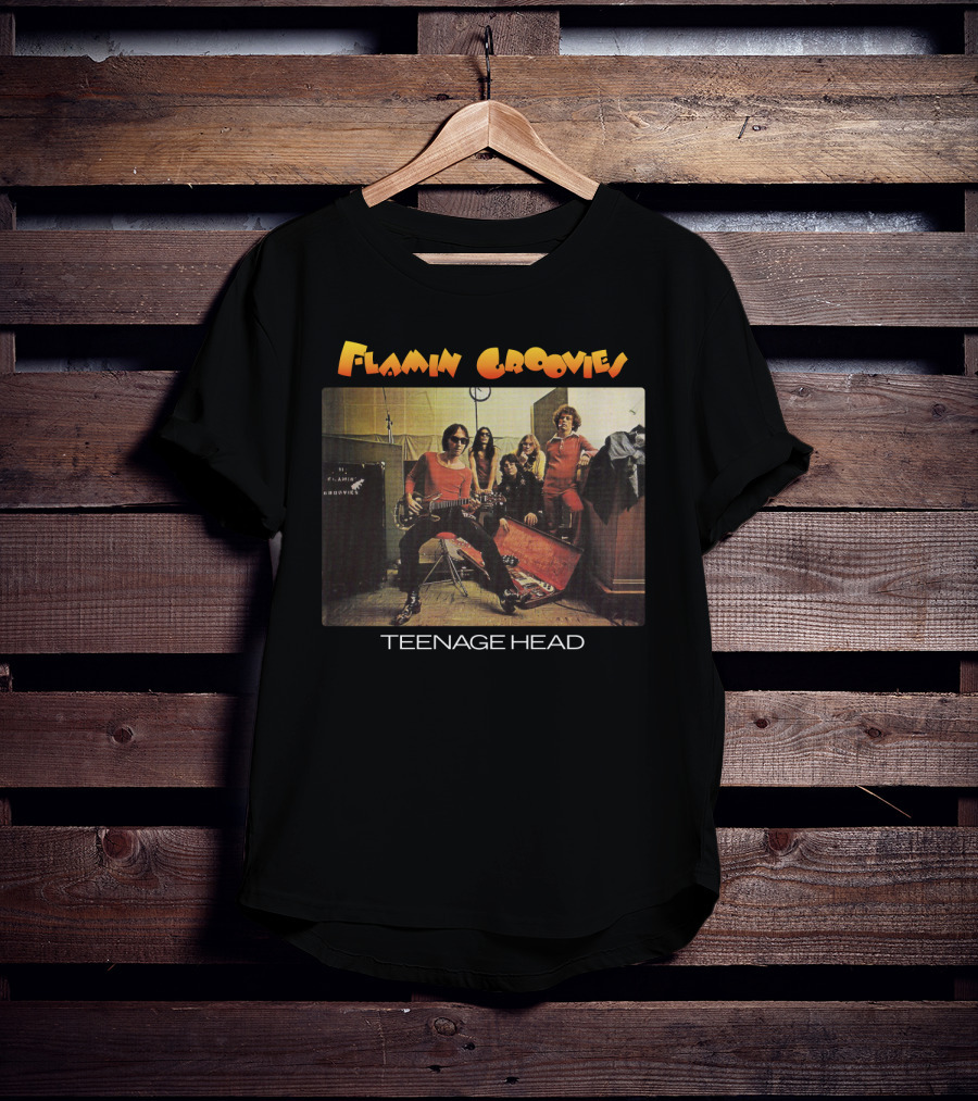 Flamin Groovies Teenage Head T-Shirt