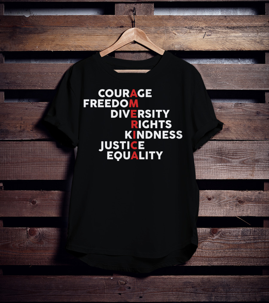 Courage Freedom Diversity Rights Kindness Justice Equality America T-Shirt