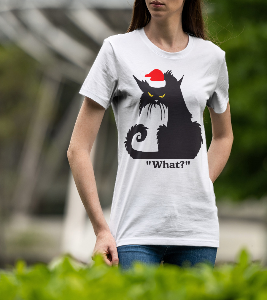 What Cat With Santa Hat T-Shirt