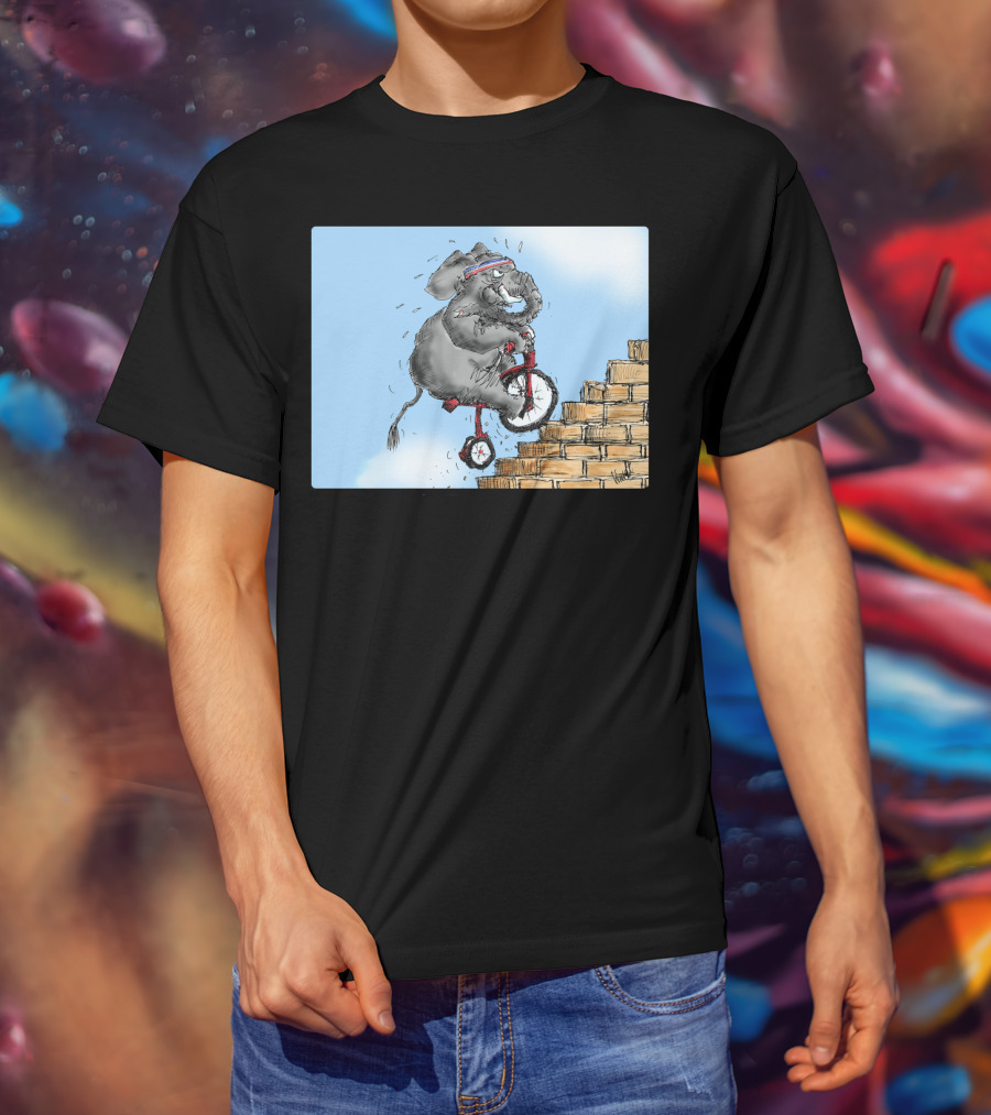 Challenge Accepted Elephant On Unicycle Climbing Stairs T-Shirt