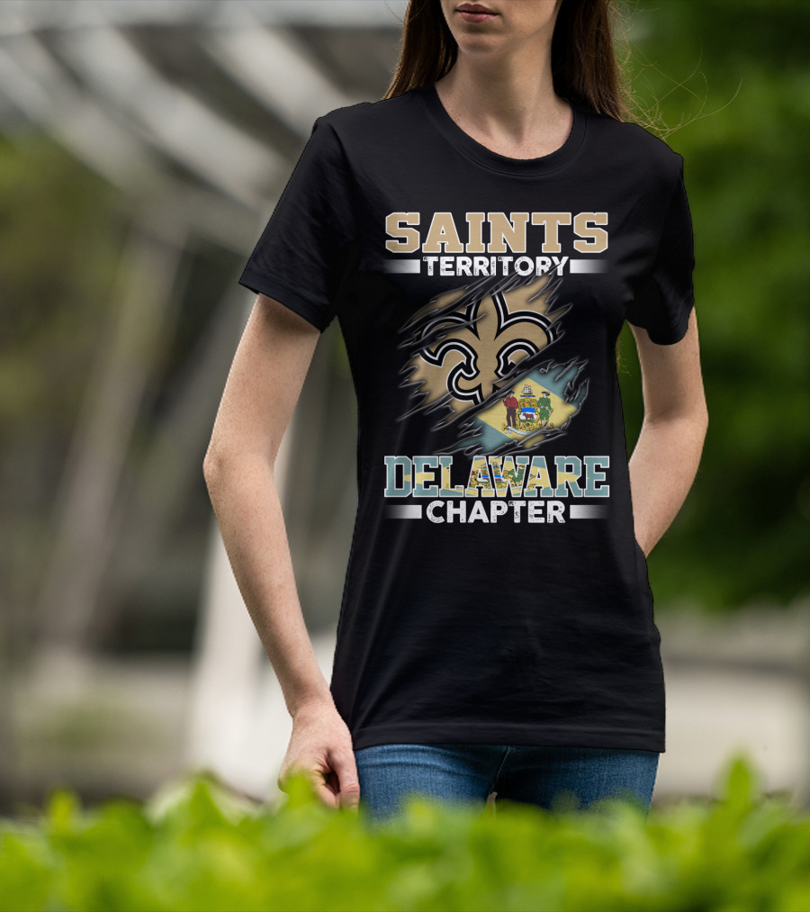 Saints Territory Delaware Chapter Fleur-De-Lis And Delaware Flag T-Shirt
