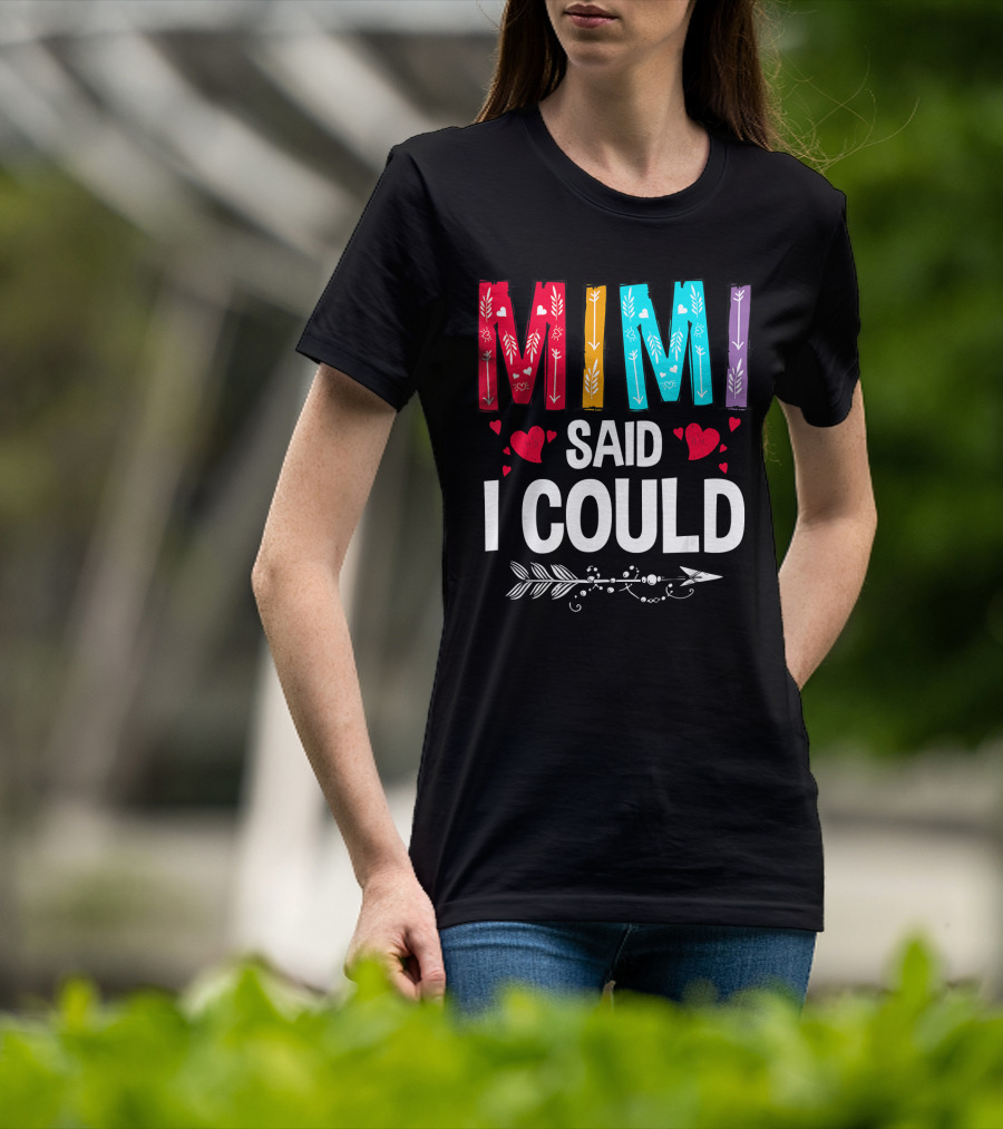Mimi Said I Could Colorful Arrow Hearts T-Shirt