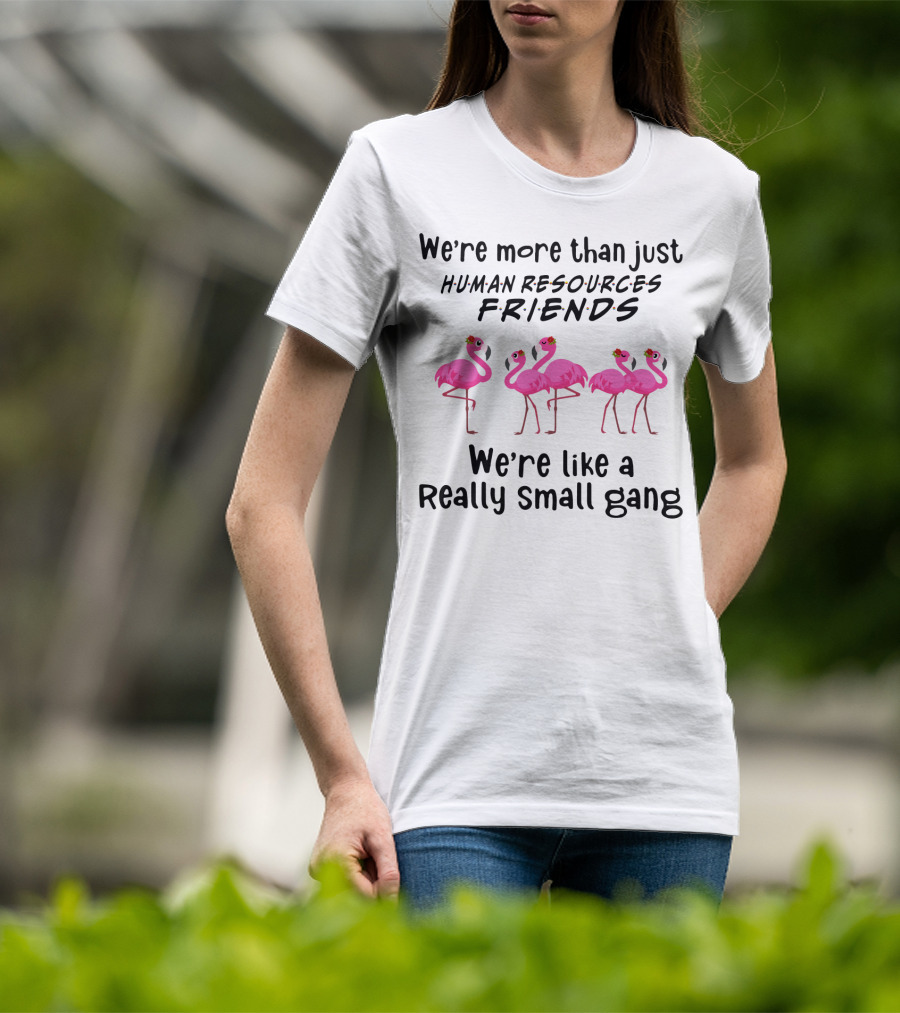 We're More Than Just Human Resources Friends We're Like A Really Small Gang With Flamingos T-Shirt