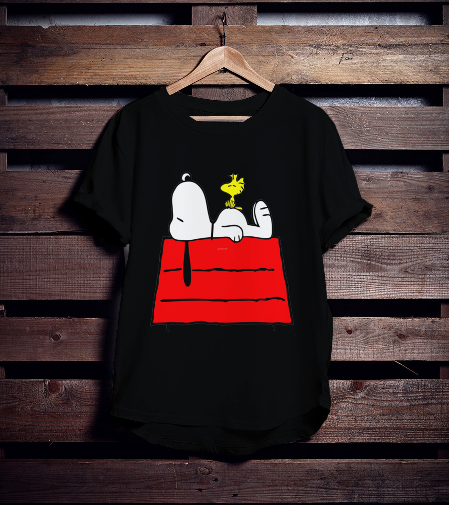 Snoopy Sleeping On Red Doghouse With Woodstock T-Shirt