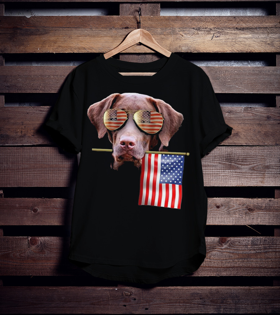 Pitbull Dog With American Flag Sunglasses And Flag T-Shirt