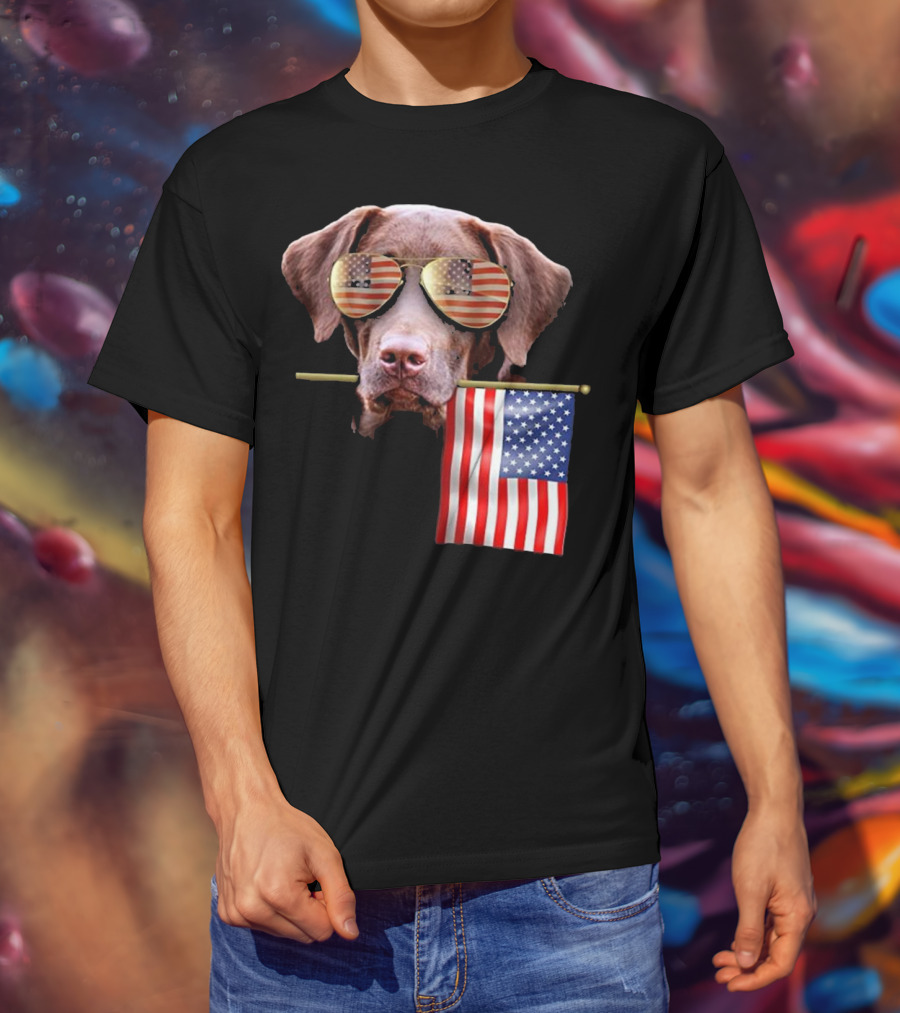 Pitbull Dog With American Flag Sunglasses And Flag T-Shirt