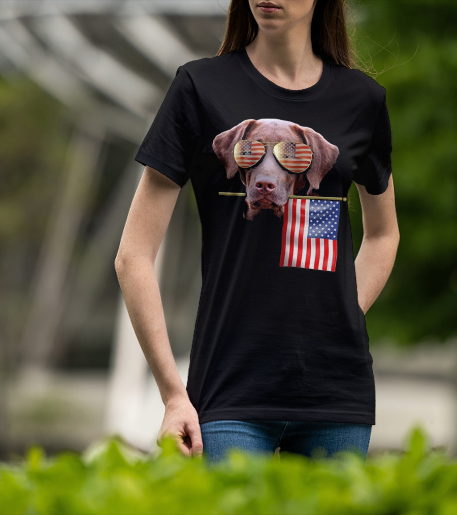 Pitbull Dog With American Flag Sunglasses And Flag T-Shirt