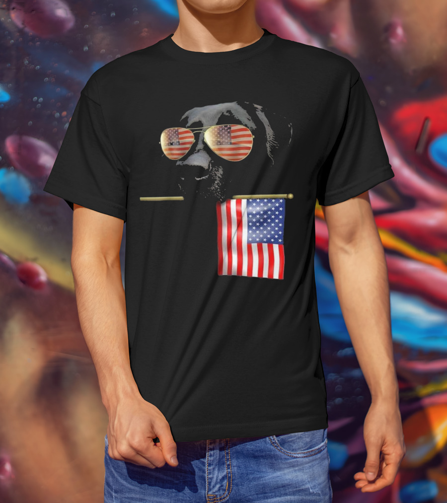 Patriotic Labrador With American Flag Shades Fourth Of July T-Shirt