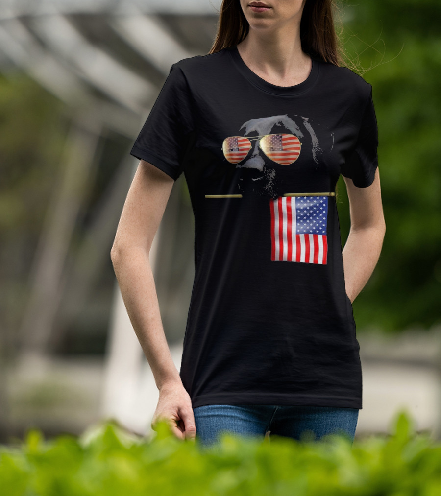 Patriotic Labrador With American Flag Shades Fourth Of July T-Shirt