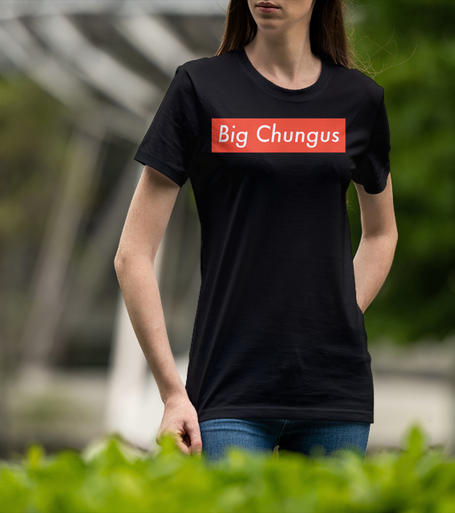 Big Chungus Meme Red Box T-Shirt