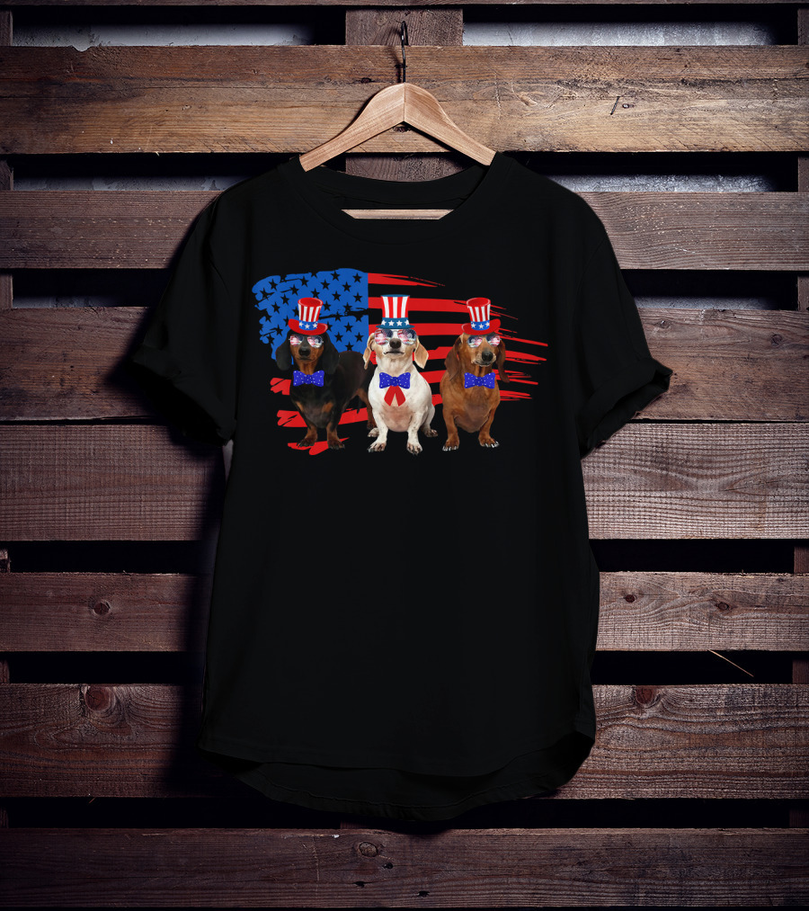 American Patriotic Dachshund Lover July Independence Day Trio T-Shirt