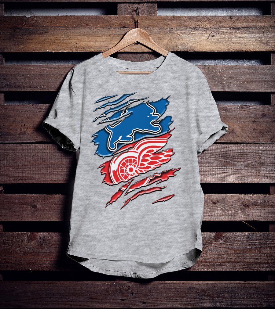 Detroit Red Wings Buffalo Sabres Vintage Mashup T-Shirt