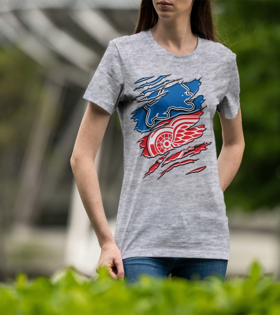 Detroit Red Wings Buffalo Sabres Vintage Mashup T-Shirt