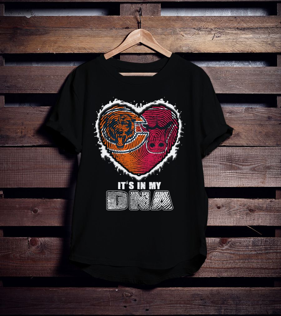 It's In My Dna Bears And Bulls Heart T-Shirt