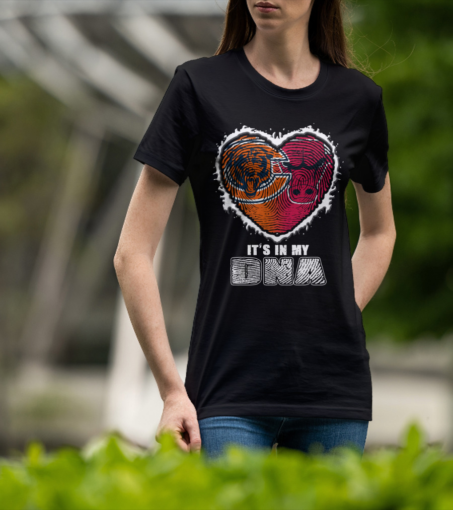 It's In My Dna Bears And Bulls Heart T-Shirt