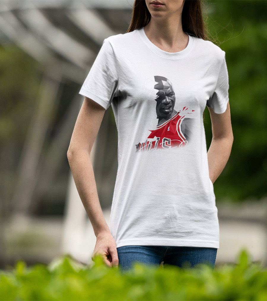 The Last Dance Jordan Bulls #23 Air Jordan Signature T-Shirt