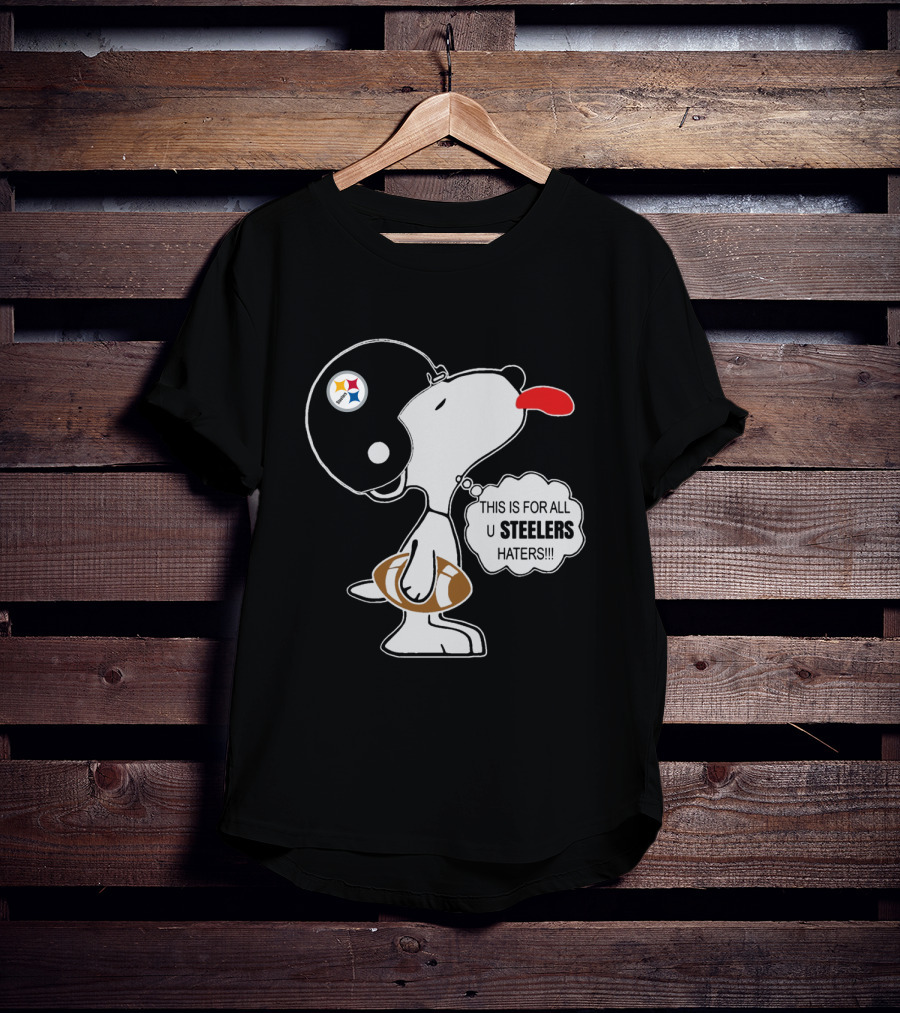 This Is For All U Steelers Haters!!! T-Shirt