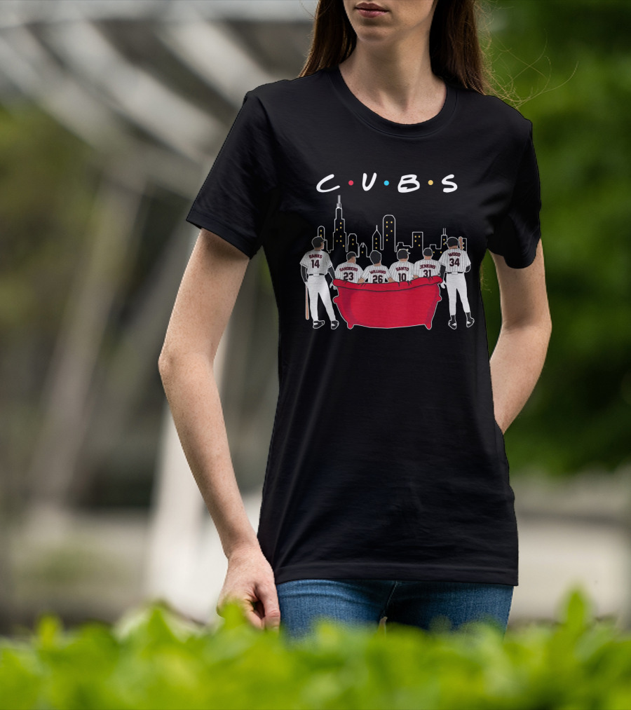 Cubs Friends Chicago Skyline Banks Sandberg Williams Santo Jenkins Wood T-Shirt