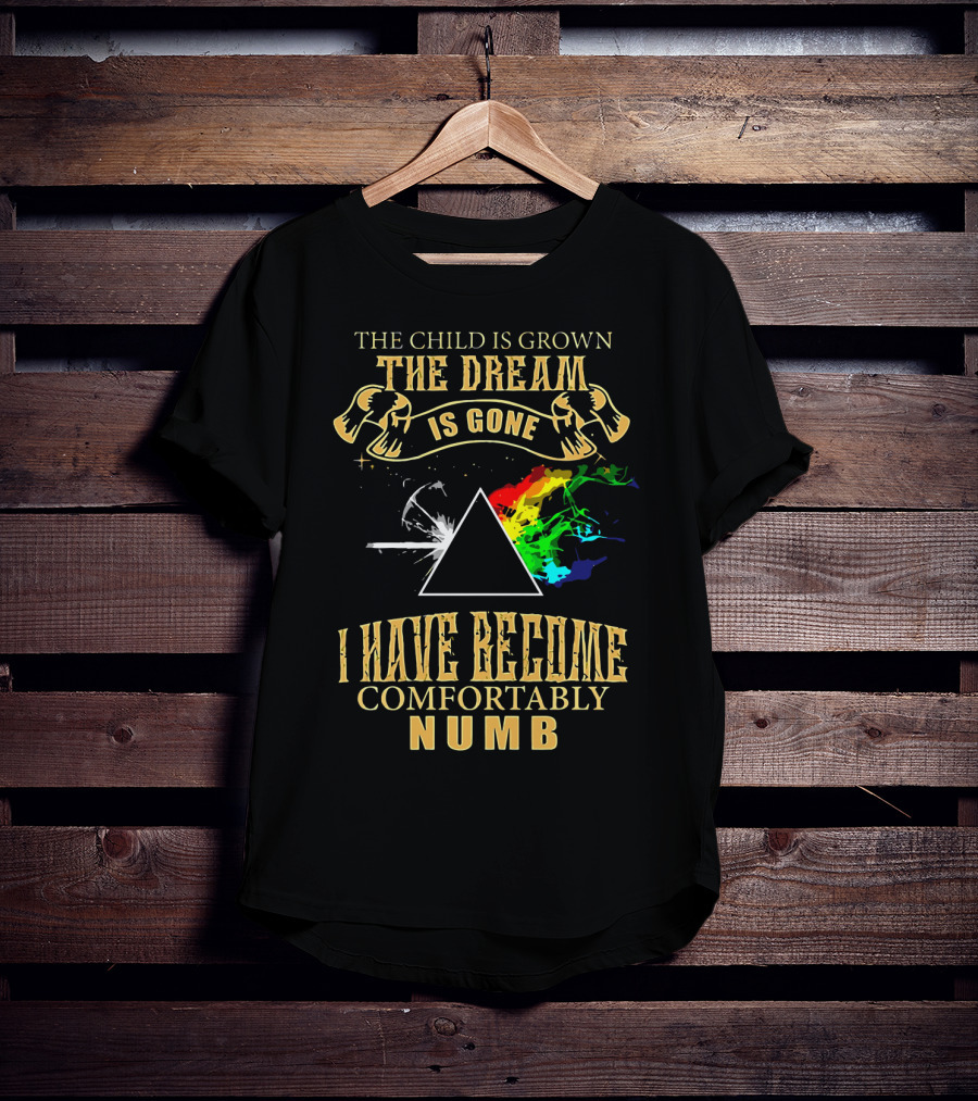The Child Is Grown The Dream Is Gone Comfortably Numb Triangle Spectrum T-Shirt