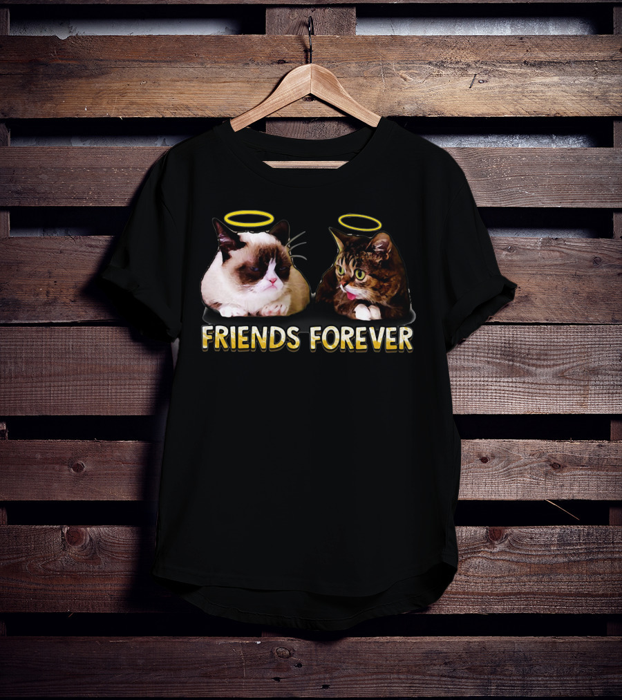 Grumpy Lil Bub Friends Forever T-Shirt